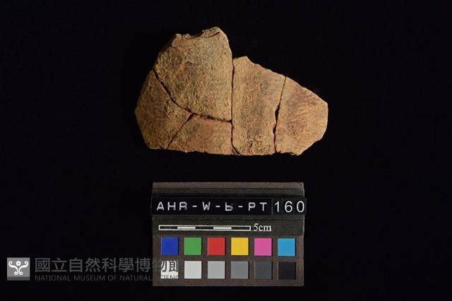 陶片藏品圖，第1張