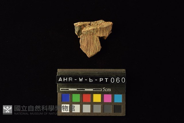 陶罐藏品圖，第1張
