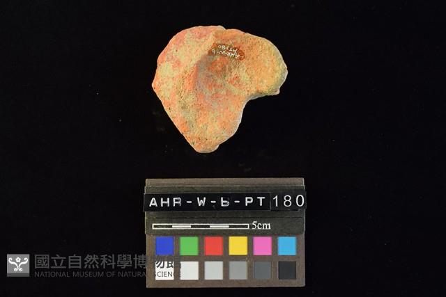 陶片藏品圖，第2張