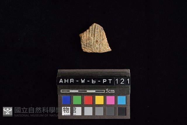 陶片藏品圖，第2張