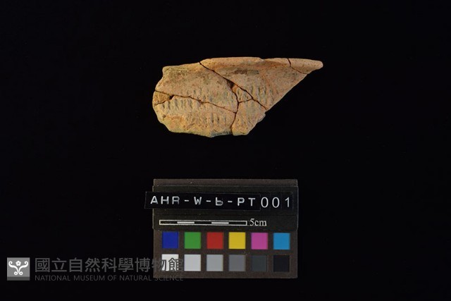 陶罐藏品圖，第2張