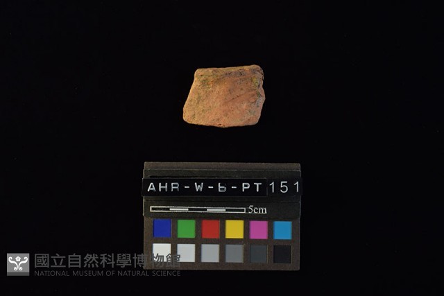 陶片藏品圖，第2張