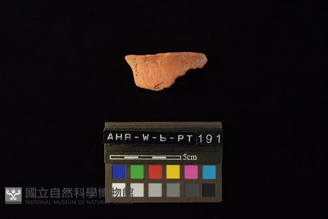 陶片藏品圖，第1張