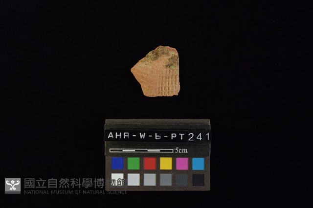 陶片藏品圖，第2張