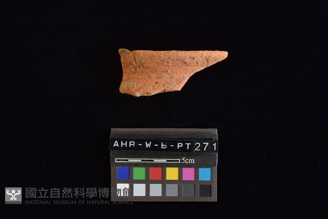陶罐藏品圖，第2張
