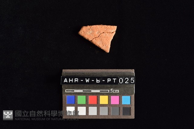 陶片藏品圖，第1張