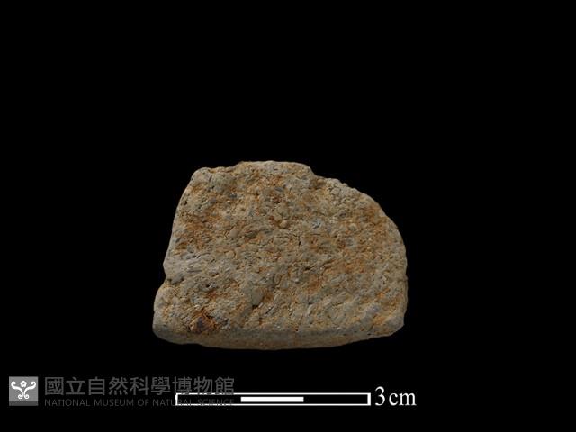 陶片藏品圖，第2張