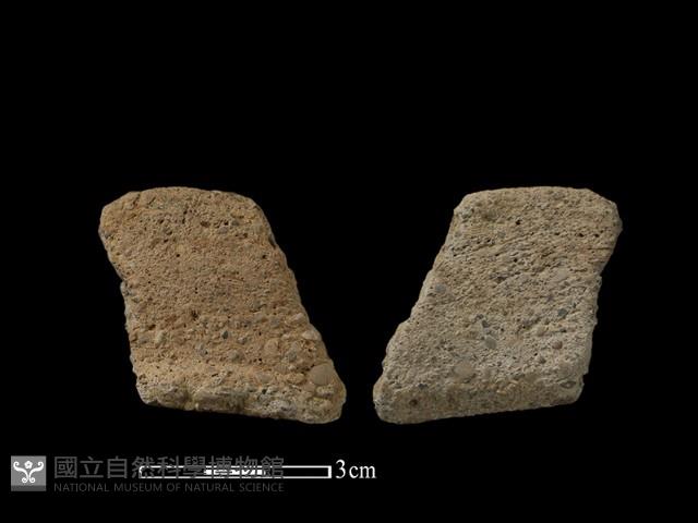 陶片藏品圖，第1張