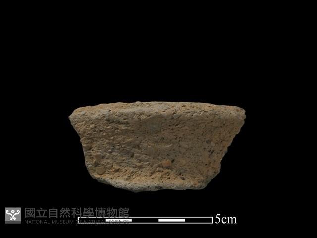 陶片藏品圖，第2張