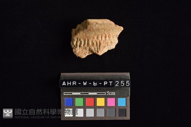 陶罐藏品圖，第2張