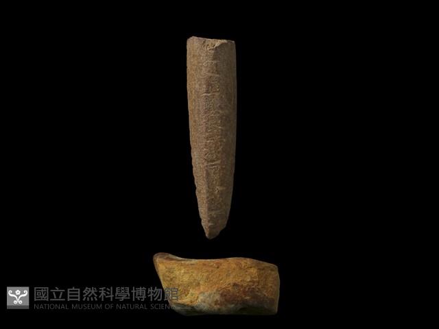 Accession Number:PTT-2011-0565 Collection Image, Figure 2, Total 3 Figures