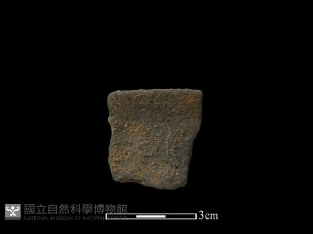 陶片藏品圖，第1張