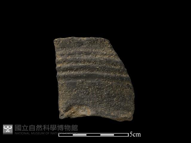 陶片藏品圖，第2張