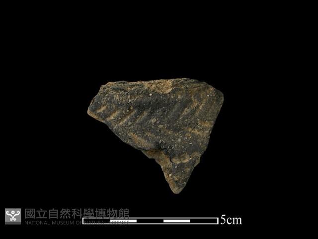 陶片藏品圖，第1張