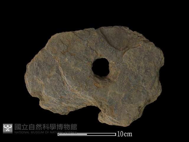 石器藏品圖，第2張