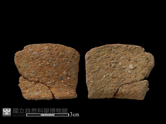 陶片藏品圖，第1張