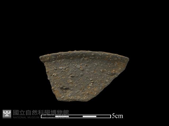 陶片藏品圖，第2張