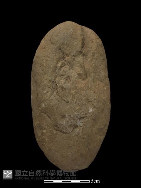 石鎚藏品圖，第1張