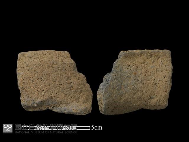 陶片藏品圖，第1張