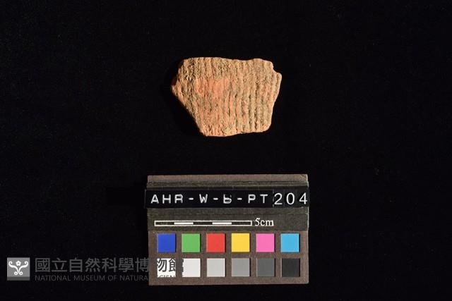 陶片藏品圖，第2張