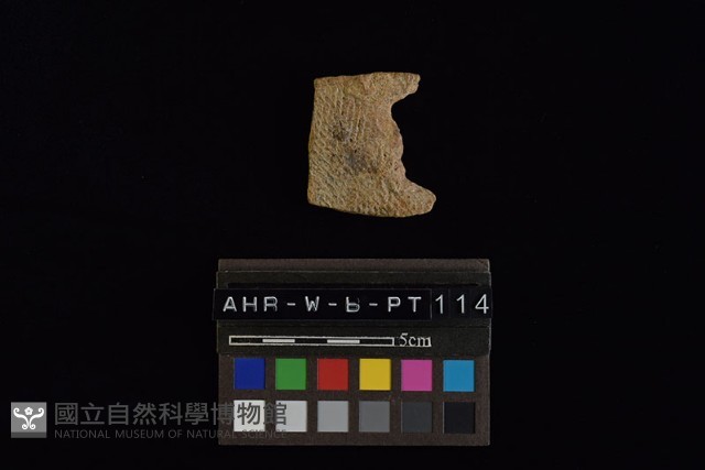 陶片藏品圖，第1張