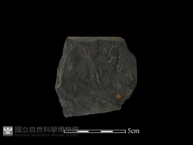 磨製石器藏品圖，第2張