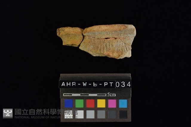 陶罐藏品圖，第1張