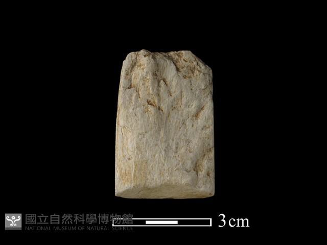 錛鑿形器藏品圖，第2張
