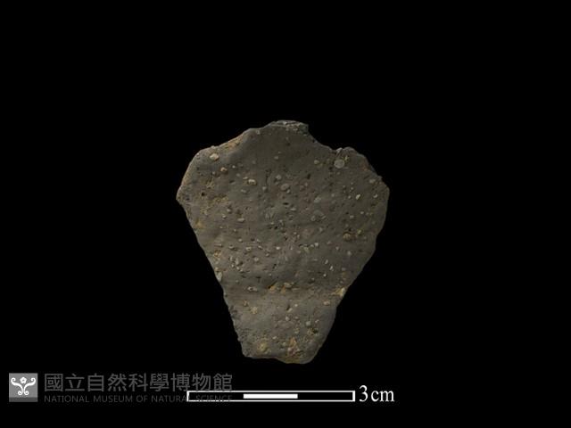 陶片藏品圖，第1張