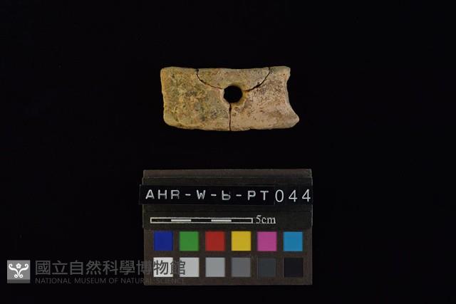 陶片藏品圖，第2張