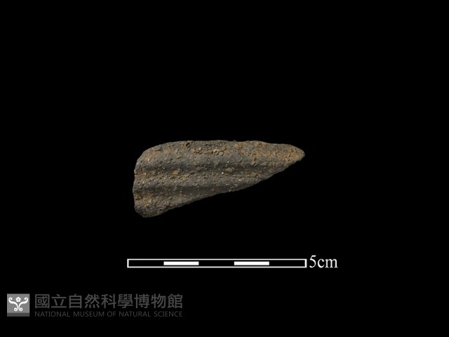 陶片藏品圖，第1張