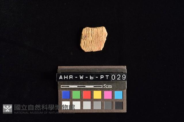 陶片藏品圖，第1張