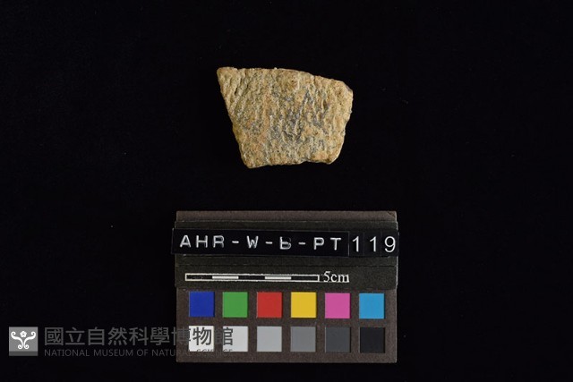 陶片藏品圖，第2張