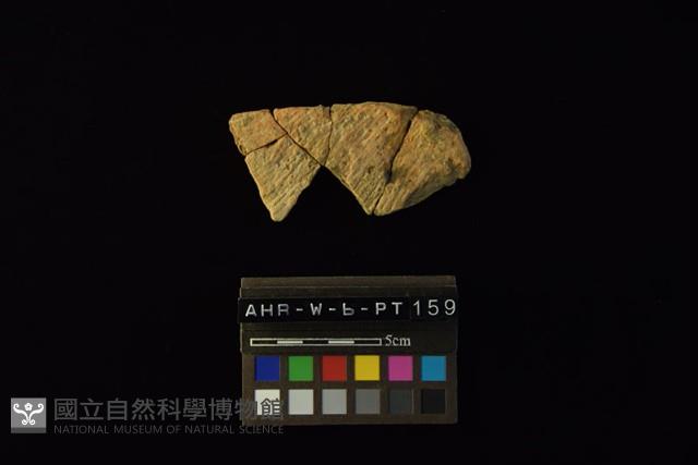 陶片藏品圖，第1張