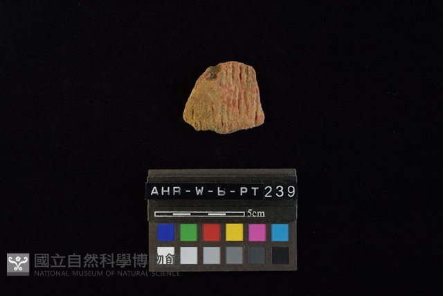 陶片藏品圖，第2張