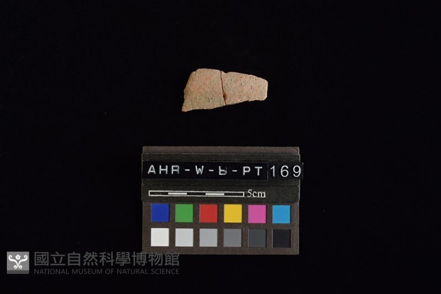 陶片藏品圖，第1張