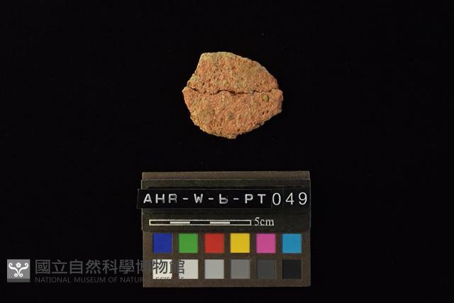 陶片藏品圖，第2張