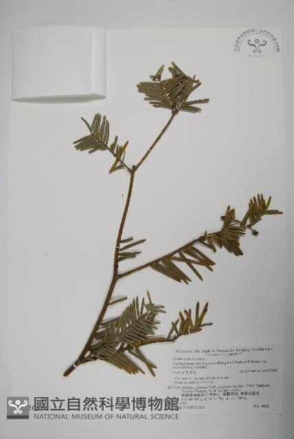 登錄號:G000809藏品圖，第1張