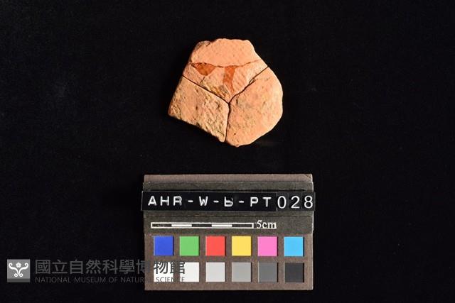 陶片藏品圖，第2張