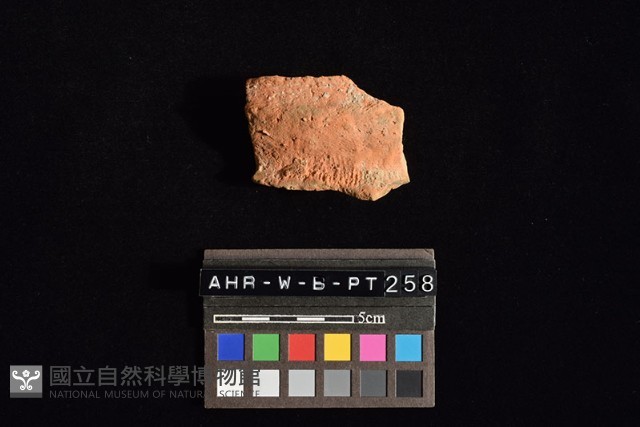 陶罐藏品圖，第1張