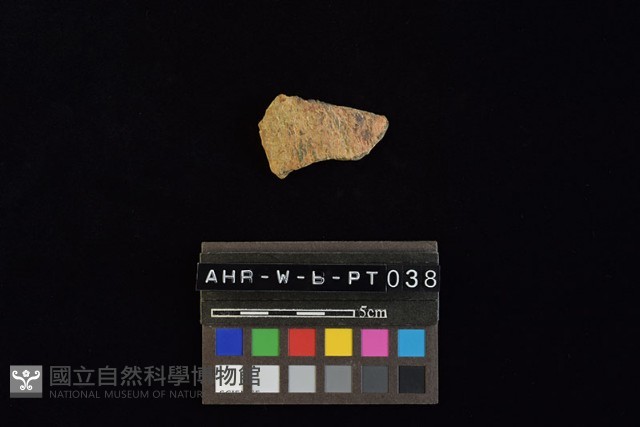 陶片藏品圖，第2張
