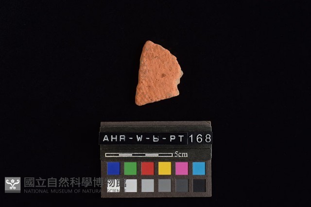 陶片藏品圖，第2張