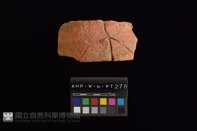 陶片藏品圖，第2張