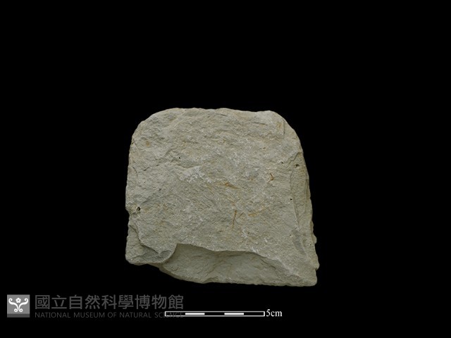 斧鋤形器藏品圖，第1張