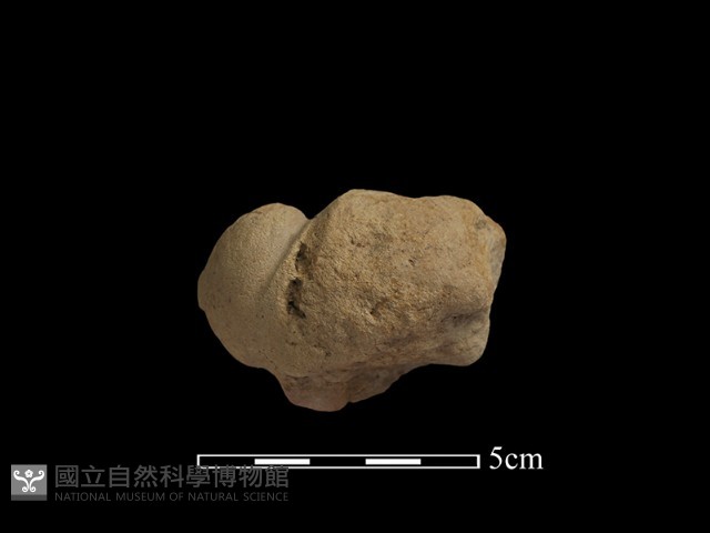斧鋤形器藏品圖，第2張