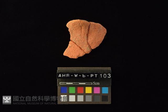 陶片藏品圖，第2張