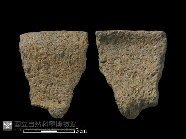 陶片藏品圖，第1張