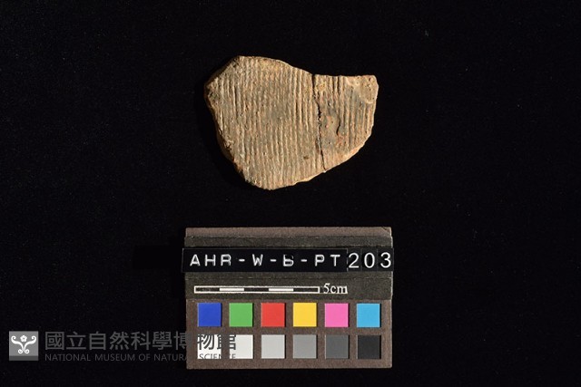 陶片藏品圖，第2張