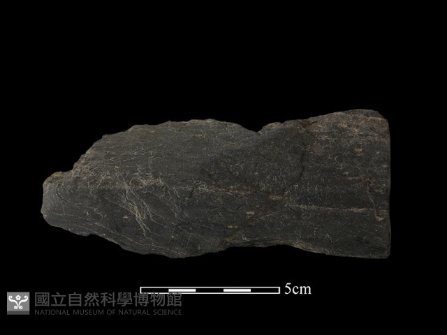 戈形器藏品圖，第2張