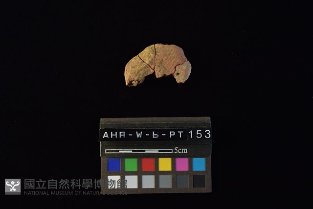 陶片藏品圖，第2張
